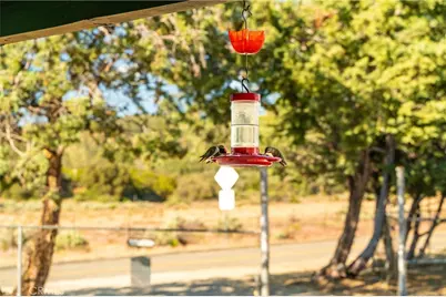 60861 Burnt Valley Road, Anza, CA 92539 - Photo 59