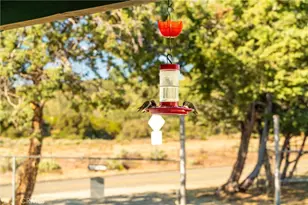 60861 Burnt Valley Rd, Anza, CA 92539 - Photo 59
