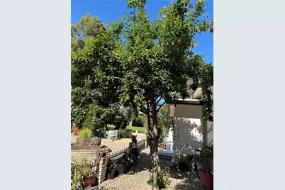 1468 Willow Leaf, Hemet, CA 92545 - Photo 55