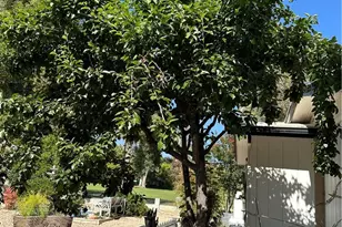 1468 Willow Leaf, Hemet, CA 92545 - Photo 55