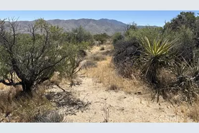 7 Carrizo Road, Mountain Center, CA 92561 - Photo 3