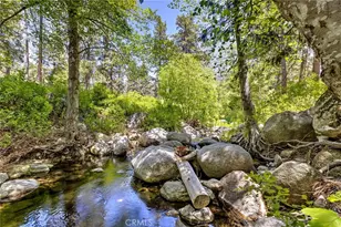 53570 Idyllbrook Dr, Idyllwild, CA 92549 - Photo 53