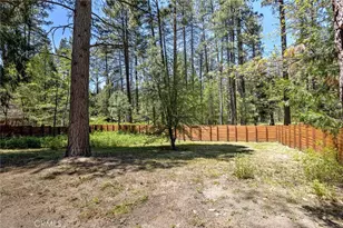 53570 Idyllbrook Dr, Idyllwild, CA 92549 - Photo 47