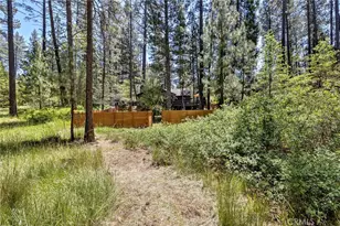 53570 Idyllbrook Dr, Idyllwild, CA 92549 - Photo 51