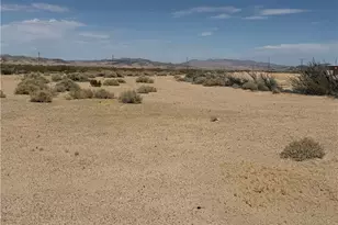35030 Harvard, Newberry Springs, CA 92365 - Photo 23