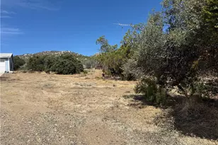 57313 Holland, Anza, CA 92539 - Photo 21