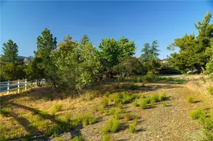 38080 Ribbonwood Ln, Mountain Center, CA 92561 - Photo 73