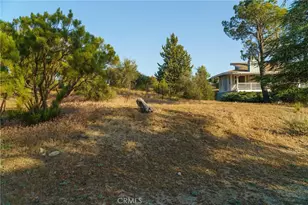 38080 Ribbonwood Ln, Mountain Center, CA 92561 - Photo 71