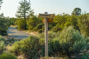 38080 Ribbonwood Ln, Mountain Center, CA 92561 - Photo 69