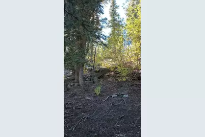 0 Cherry, Big Bear Lake, CA 92315 - Photo 3
