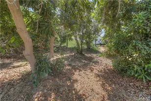 897 Leland Pl, El Cajon, CA 92019 - Photo 39
