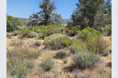 37310 Bohlen, Anza, CA 92539 - Photo 9