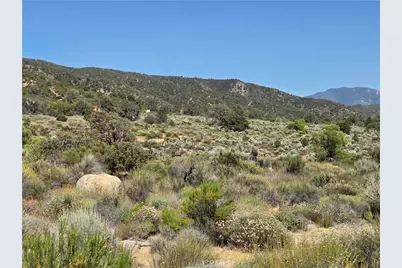 37310 Bohlen, Anza, CA 92539 - Photo 7