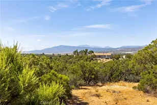 44980 Terwilliger, Anza, CA 92539 - Photo 67