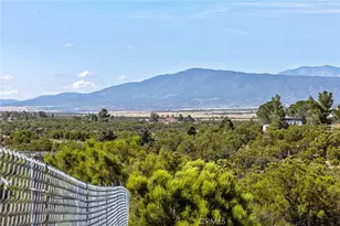 44980 Terwilliger, Anza, CA 92539 - Photo 43