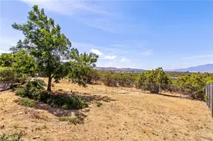 44980 Terwilliger, Anza, CA 92539 - Photo 63