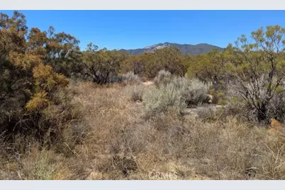 0 Pony Trail, Anza, CA 92539 - Photo 19