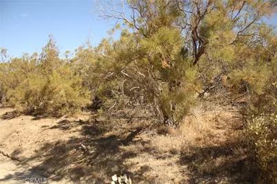 0 Pony Trail, Anza, CA 92539 - Photo 5
