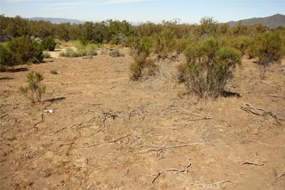 0 Pony Trail, Anza, CA 92539 - Photo 1