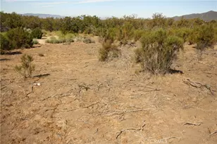 0 Pony Trail, Anza, CA 92539 - Photo 1