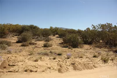 0 Pony Trail, Anza, CA 92539 - Photo 13