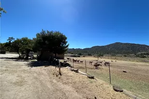 45015 Carrot, Aguanga, CA 92536 - Photo 39