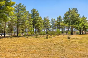 49585 Flightline Way, Aguanga, CA 92536 - Photo 13