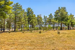 49585 Flightline Way, Aguanga, CA 92536 - Photo 13