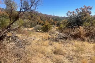56768 Dickson Hills Rd, Anza, CA 92539 - Photo 33