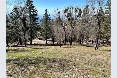 41 Fredalba Road, Running Springs, CA 92382 - Photo 5