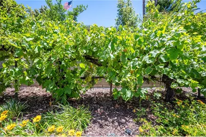 39986 Via Espana, Murrieta, CA 92562 - Photo 29