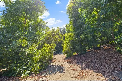 1832 Camino Rainbow, Fallbrook, CA 92028 - Photo 49