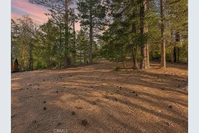 25400 Marion Ridge Dr, Idyllwild, CA 92549 - Photo 9