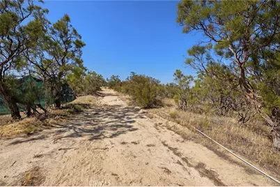44627 Laura Lane, Aguanga, CA 92536 - Photo 19
