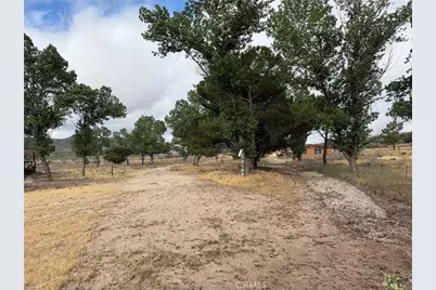 45051 Bonny Lane, Aguanga, CA 92536 - Photo 3