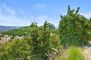 1252 Rancho Luiseno, Escondido, CA 92026 - Photo 35