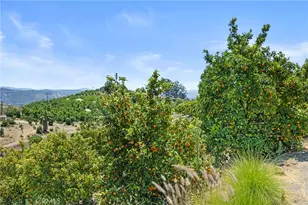 1252 Rancho Luiseno, Escondido, CA 92026 - Photo 35