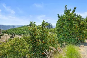 1252 Rancho Luiseno, Escondido, CA 92026 - Photo 35