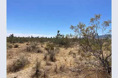 0 213th, Llano, CA 93544 - Photo 1