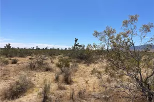 0 213th, Llano, CA 93544 - Photo 1