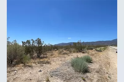 0 213th, Llano, CA 93544 - Photo 3