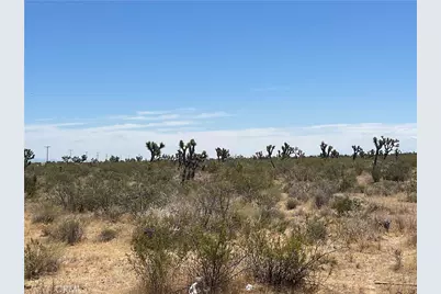 0 213th, Llano, CA 93544 - Photo 5