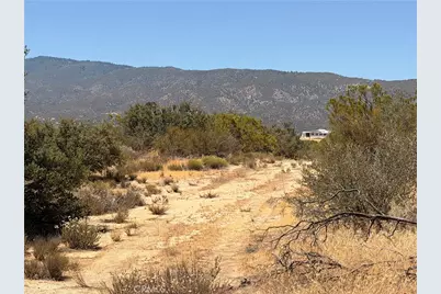 90002 Wellman, Anza, CA 92539 - Photo 3