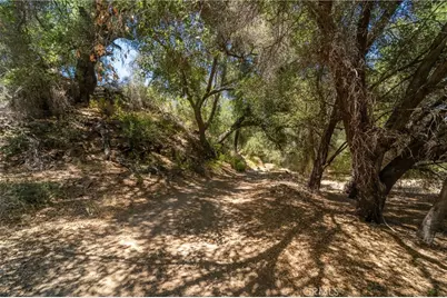 39325 Highway 79, Aguanga, CA 92536 - Photo 9