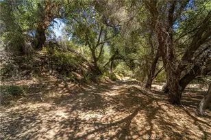 39325 Hwy 79, Aguanga, CA 92536 - Photo 9