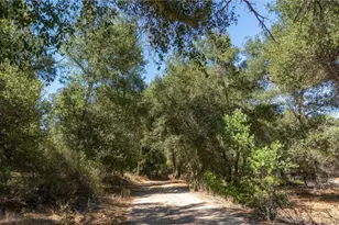 39325 Hwy 79, Aguanga, CA 92536 - Photo 19