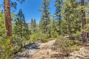 53921 Marian View, Idyllwild, CA 92549 - Photo 71