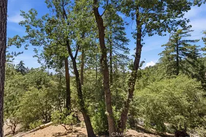 24759 Schaffer Drive, Idyllwild, CA 92549 - Photo 33