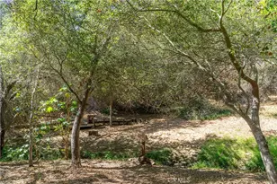2923 Nuestra, Fallbrook, CA 92028 - Photo 45