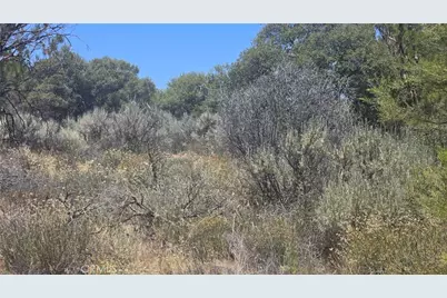 38375 Indian Road, Anza, CA 92539 - Photo 3